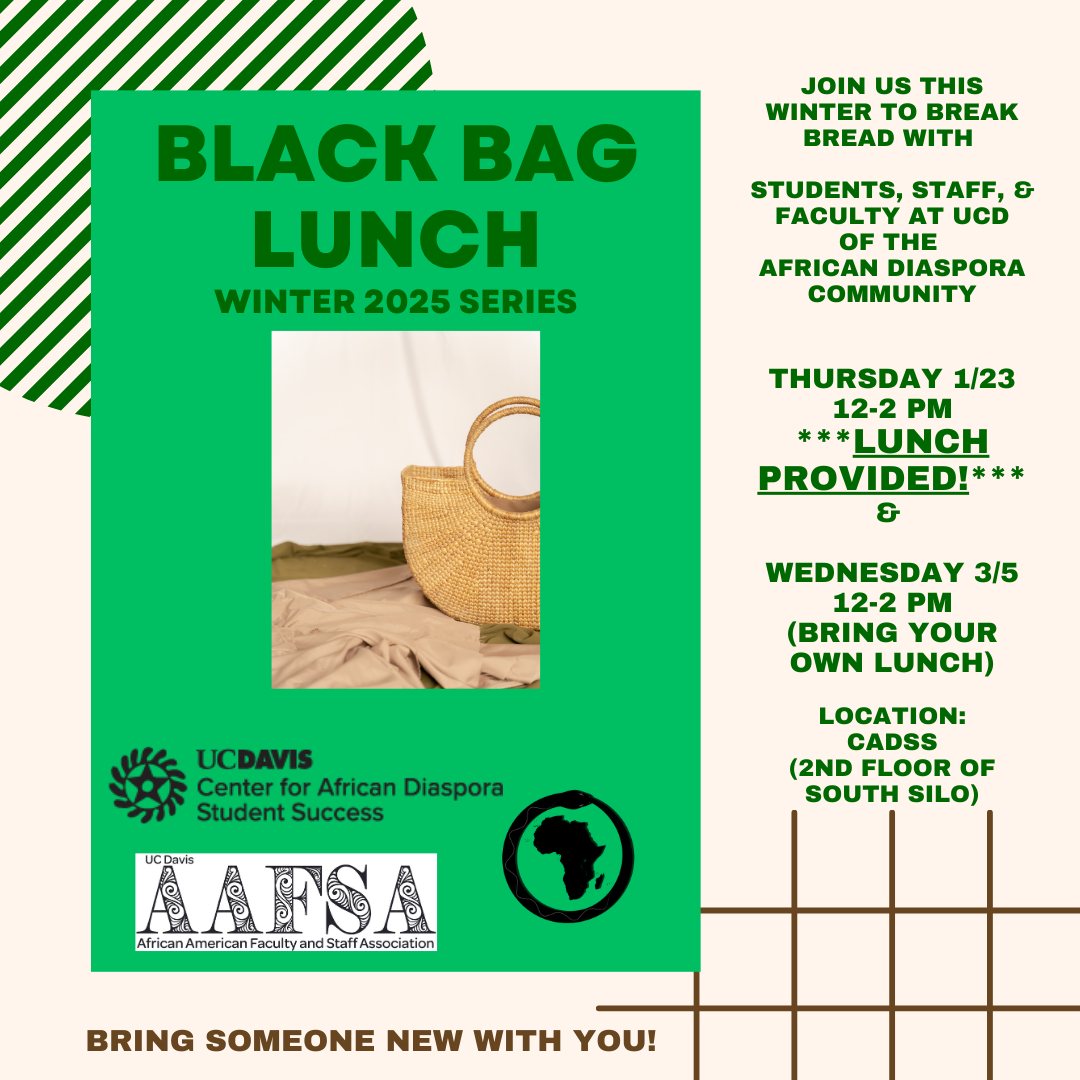 Image shows information for the Black Bag Lunch Series. Text in the flyer is provided above the flyer.